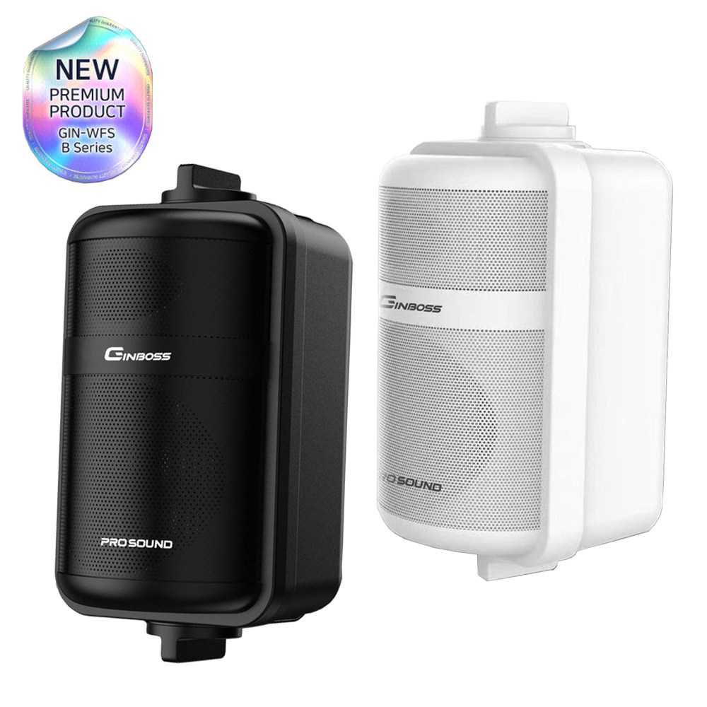 GIN-WFSB55 패션 벽걸이 고급 패시브 스피커 브라켓 1개 220,000원