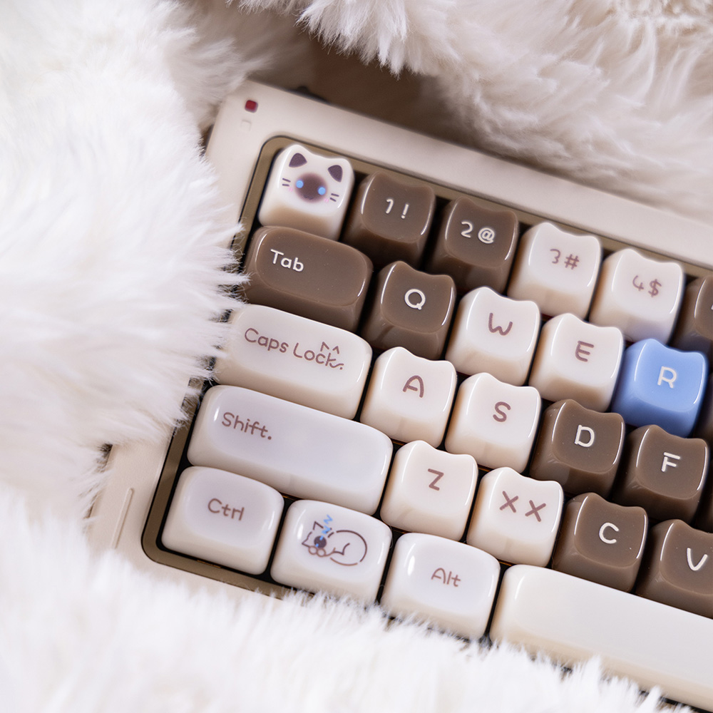 글로시캣 키캡 브라운 MAO 샴고양이 영문 조약돌 귀여운 기계식키보드 키캡 29,800원