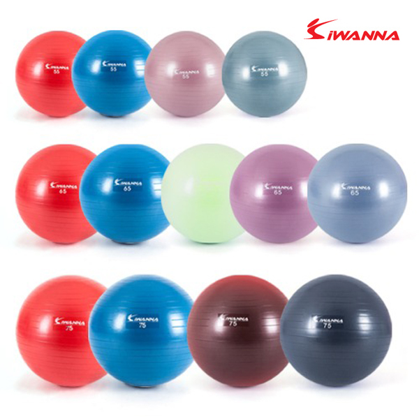 아이워너 안티버스트 짐볼 55cm 65cm 75cm 요가 필라테스 12,500원