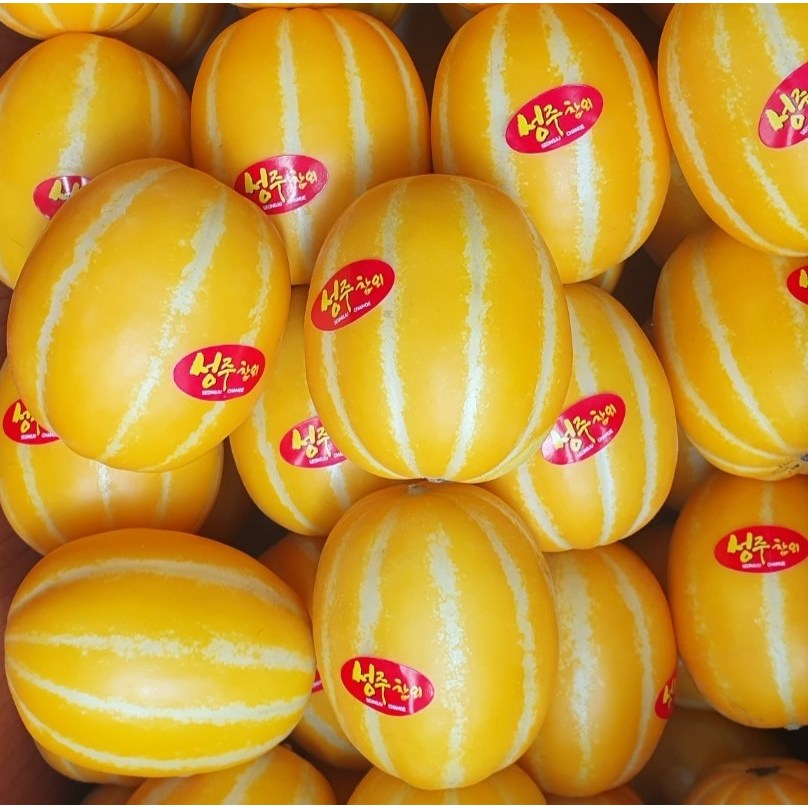 [재구매율 1위] 19brix 고당도 성주 꿀 참외 가정용 21,300원