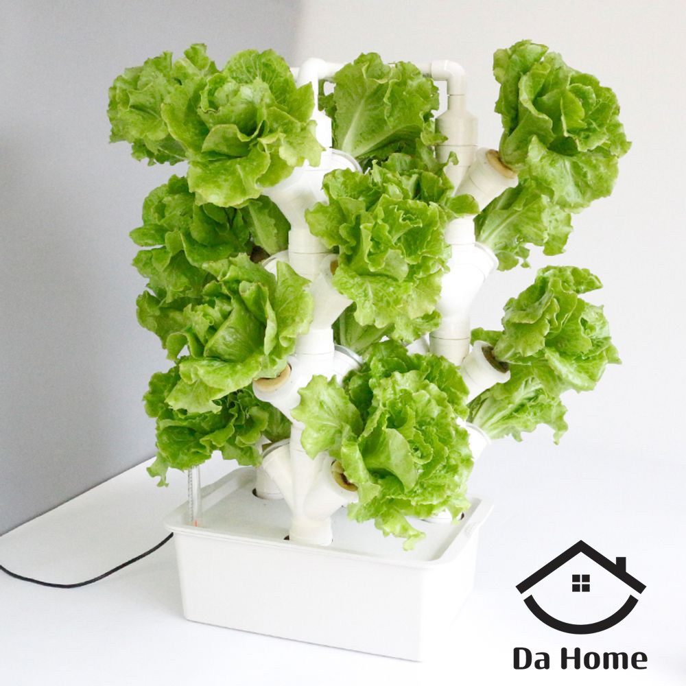 다홈 가정용 실내 수경 재배기 식물 야채 소형 상추키우기 무토 97,150원