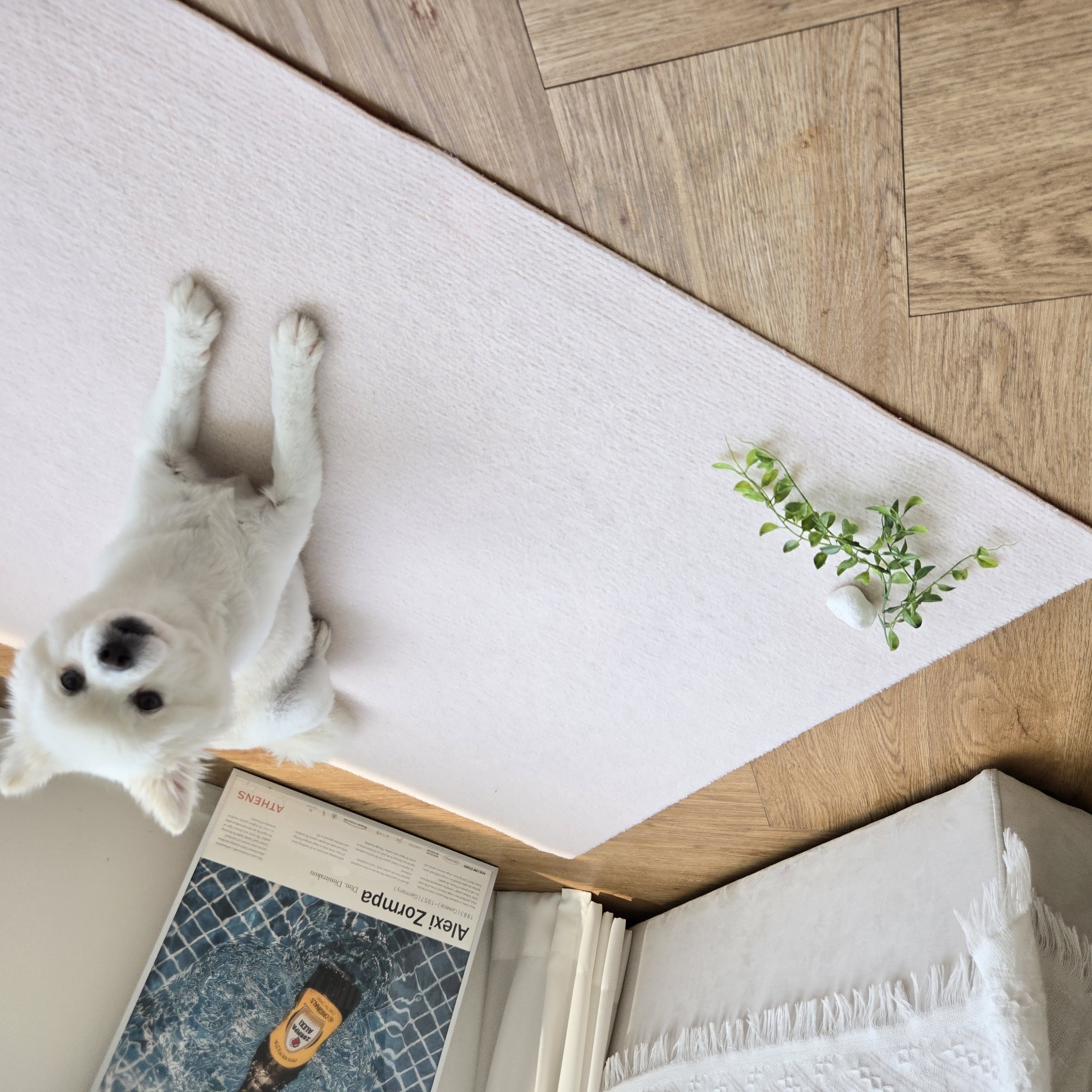 LA DERIVE 의자매트 스크래치방지 소음방지매트 바닥보호 물세탁 의자매트 먼지 차단 사계절 테이블매트 14,280원