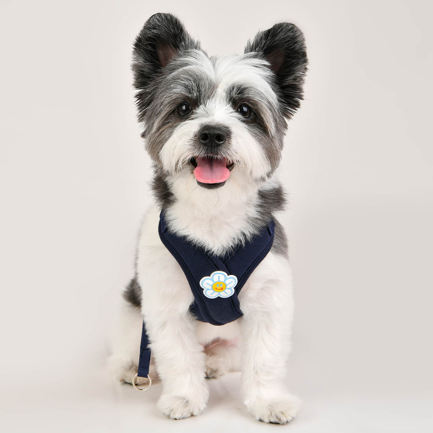 올치 강아지 플라워 에어메쉬 X형 하네스, 네이비, 1개 18,950원