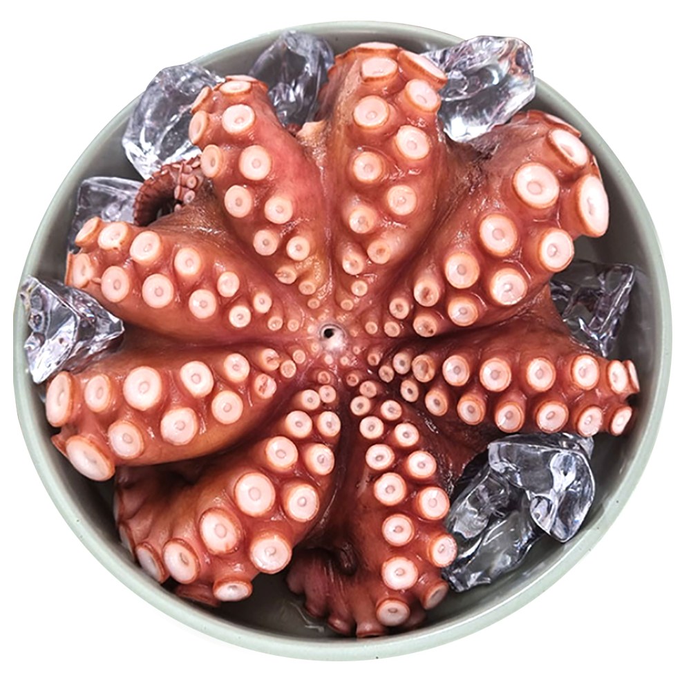 국산 자숙 문어 손질 세척 데친 숙회 제수용 국내산 손질 문어 한마리 500g ~ 2.4kg, 1개, 900~1kg (자숙문어) 67,000원