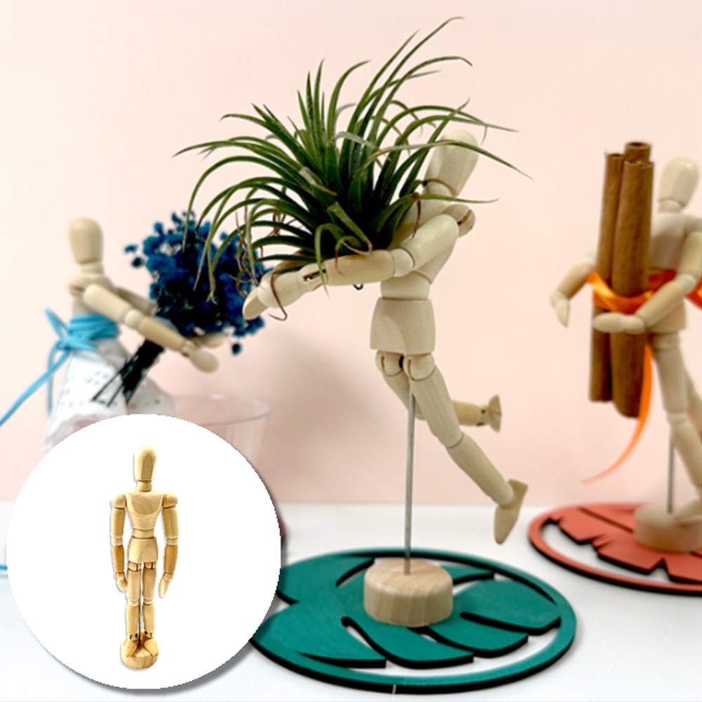 이오난사 테라리움 화분 만들기, 1개 65,000원