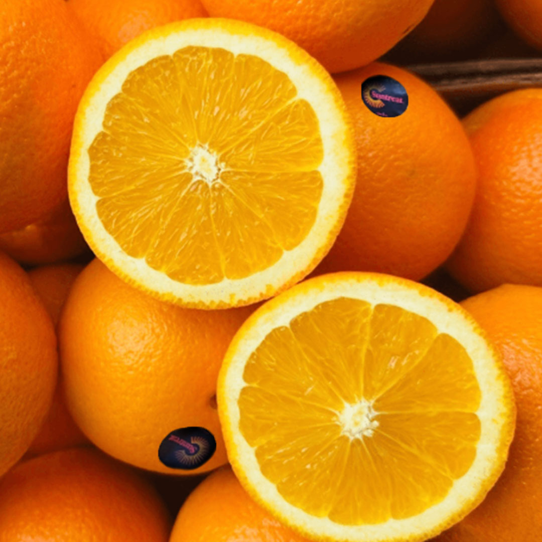 [타임특가]블랙라벨 오렌지 고당도 당도선별 네이블 과즙팡팡, L사이즈 17kg(72과 내외), 1박스 93,900원