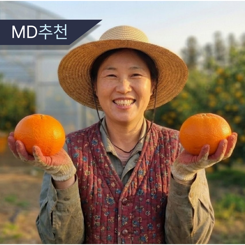 [재구매1위] 제주 카라향 고당도 산지직송 17,800원