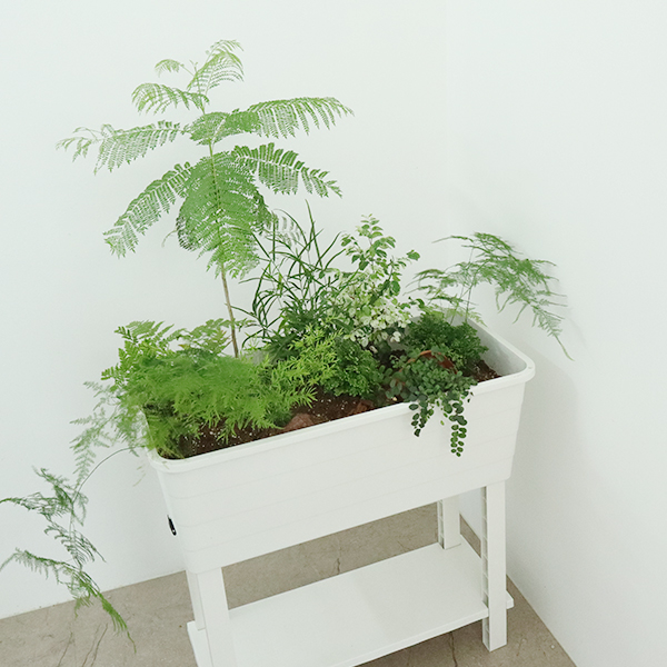 모리앤 보타니카 스탠딩 플랜트 박스, 화이트, 1개 55,350원