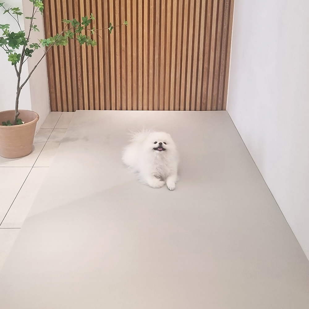 천일카페트 강아지 미끄럼방지 덧매트, 그레이, 1개, 현재가 83,500원