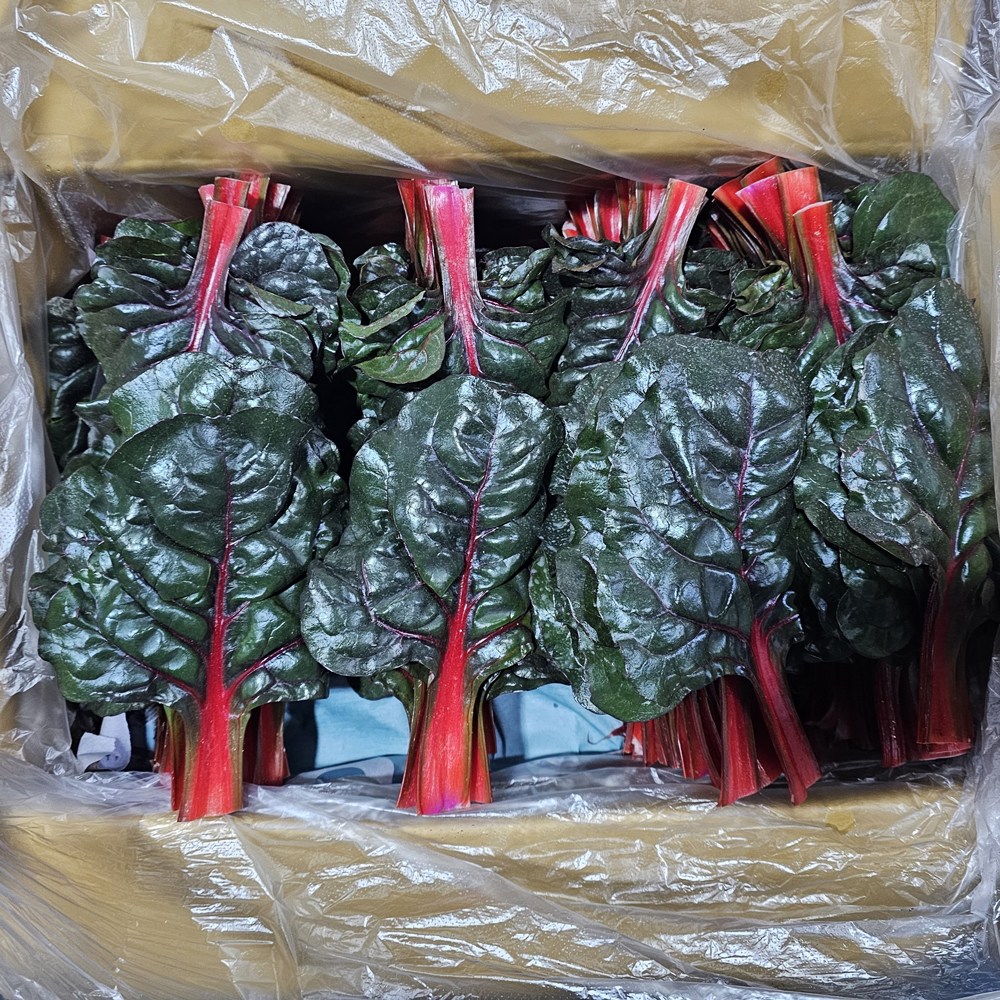 클릭마켓 국내산 적근대 7,560원