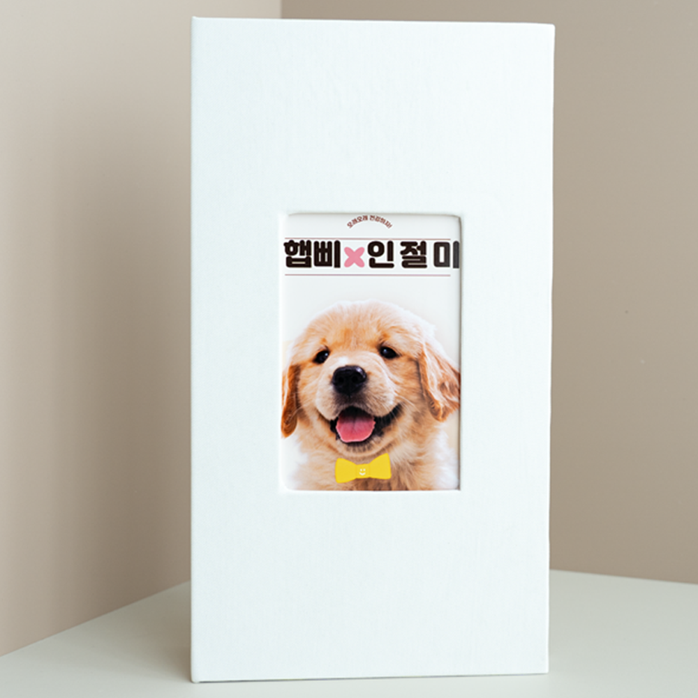 라이크태그 스탠딩 포토앨범 4x6, 린넨화이트(300매) 24,900원