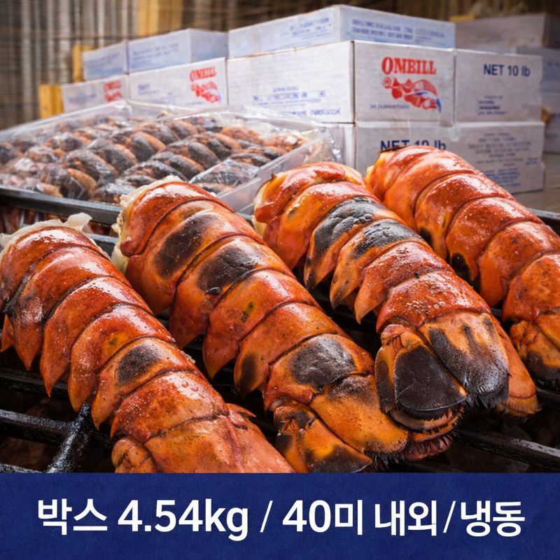 캐나다 랍스터 테일 냉동 4.54kg 박스 대용량 업소용 (40미 내외), 1개, 4.54kg 내외 489,000원
