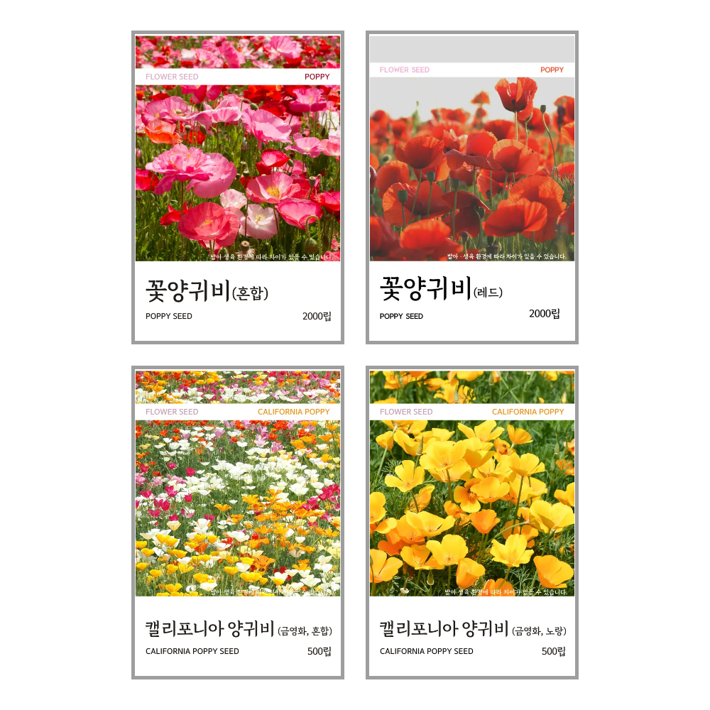 새싹바라기 꽃양귀비 씨앗 4종 9,900원