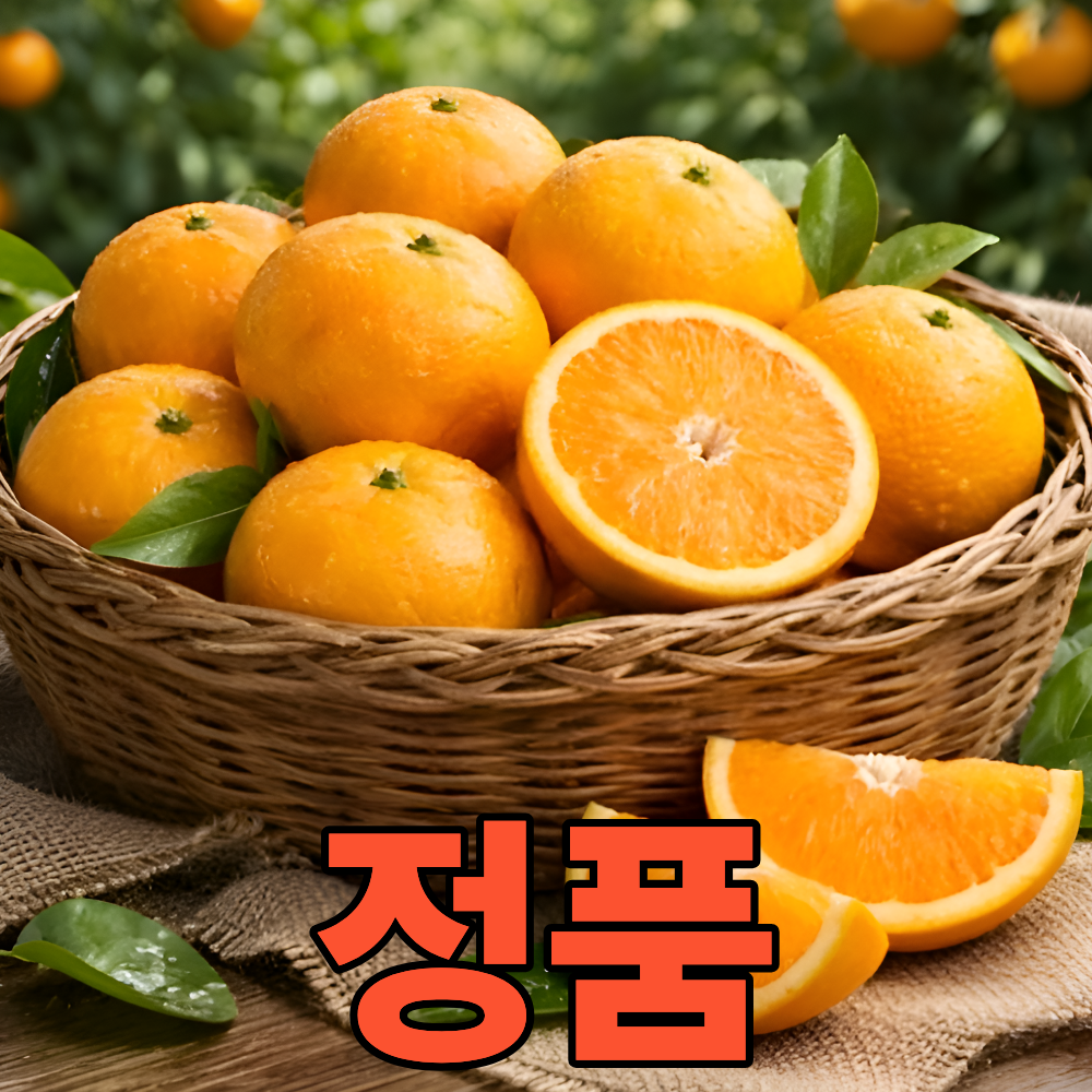 정품 특품 프리미엄 제주 천혜향, 1박스, 10kg (대과) 82,000원