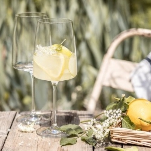 독일 와인잔 쇼트즈위젤 센사 시리즈 1p 9,900원