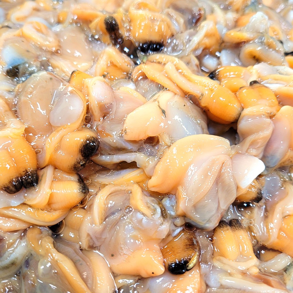 남해안 깐 바지락 살 1kg 생물 바지락살 손질 조개살 무침 국물요리 바지락국 27,040원