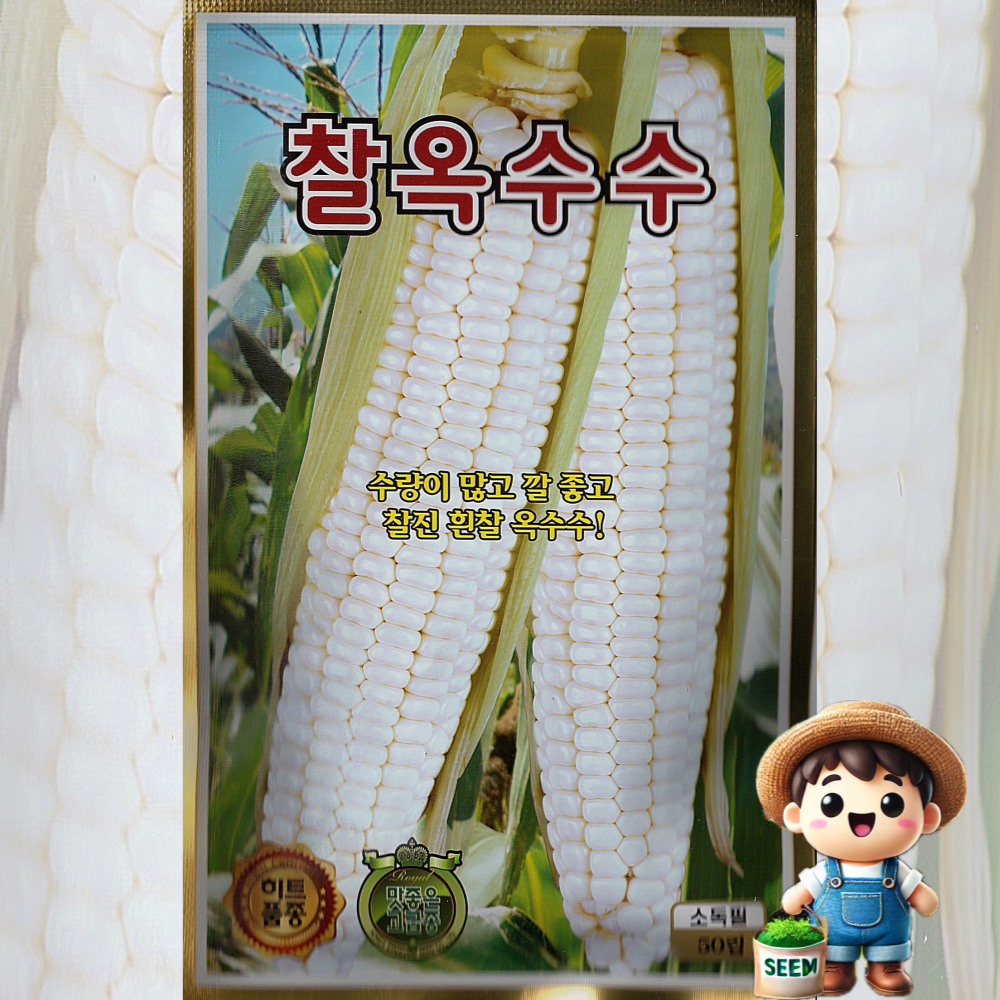 KS종묘 찰옥수수 50립 다수확 고급품종 찰옥수수 옥수수 채소 씨앗 종자 KS 3,000원