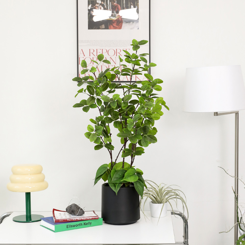 조아트 인테리어 조화나무 브레이니아 + 모형돌 2p + 화분 세트, 그린(조화), 랜덤발송(화분, 모형돌), 1세트 35,900원