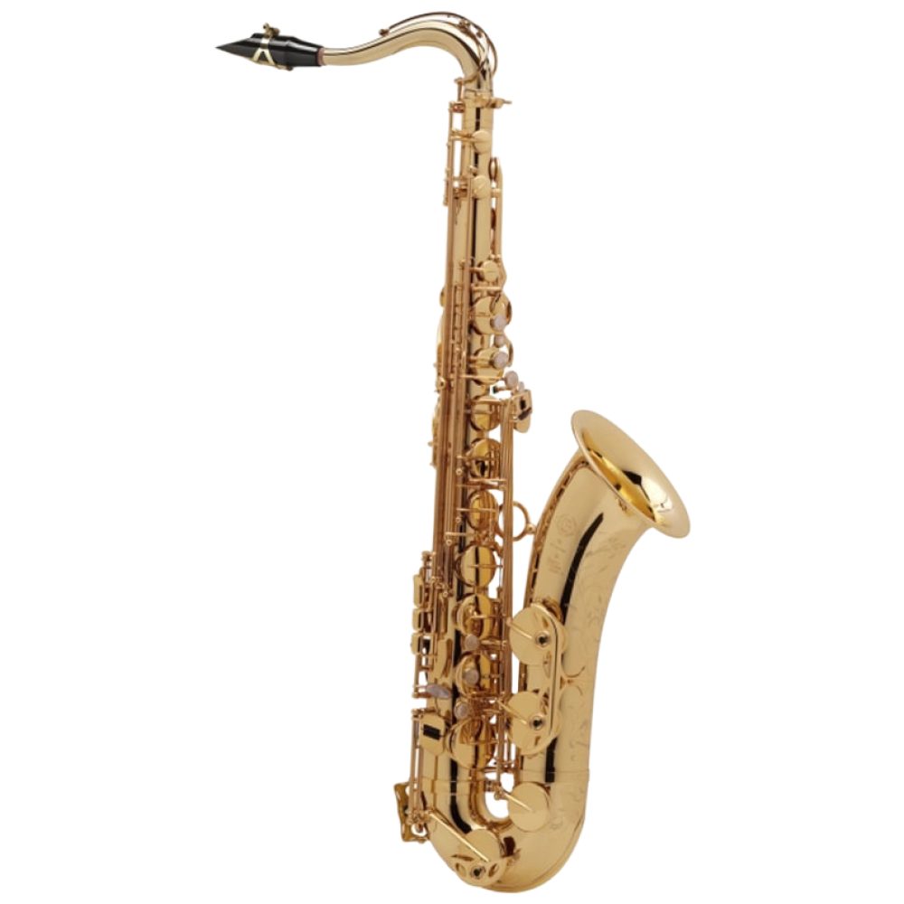 셀마 쥬빌리2 테너 색소폰, 현재가 8,360,000원