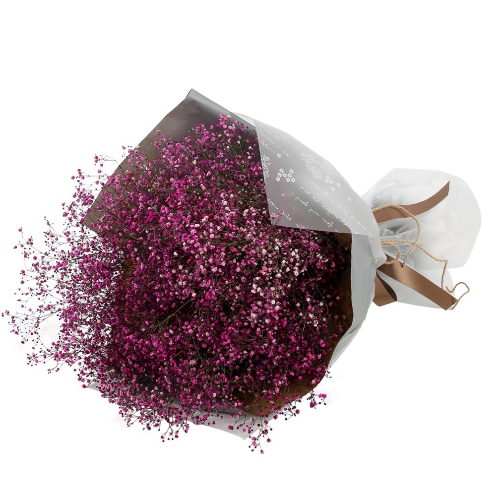 전국당일발송 (핑크빛마음안개 b-0032) 꽃다발 꽃바구니 기념일 꽃배달 꽃선물 생화 졸업 승진 인테리어 82,000원