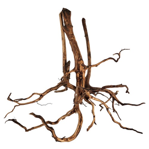 모비딕 키시레움 유목 3종 세트 75,600원