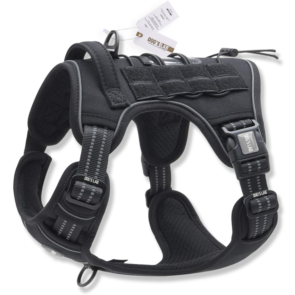 독스랩 강아지 하네스 중형견 대형견 앞섬방지 앞고리 진돗개 리트리버 가슴줄 46,830원
