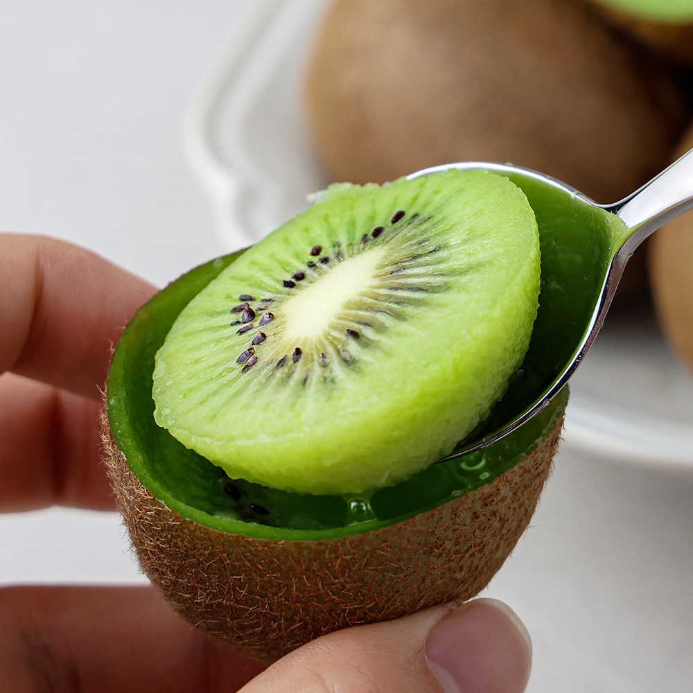 [제철초특가] 제주산지직송 국산 그린키위 제주도 참다래, 1박스, 5kg 중과 44,400원