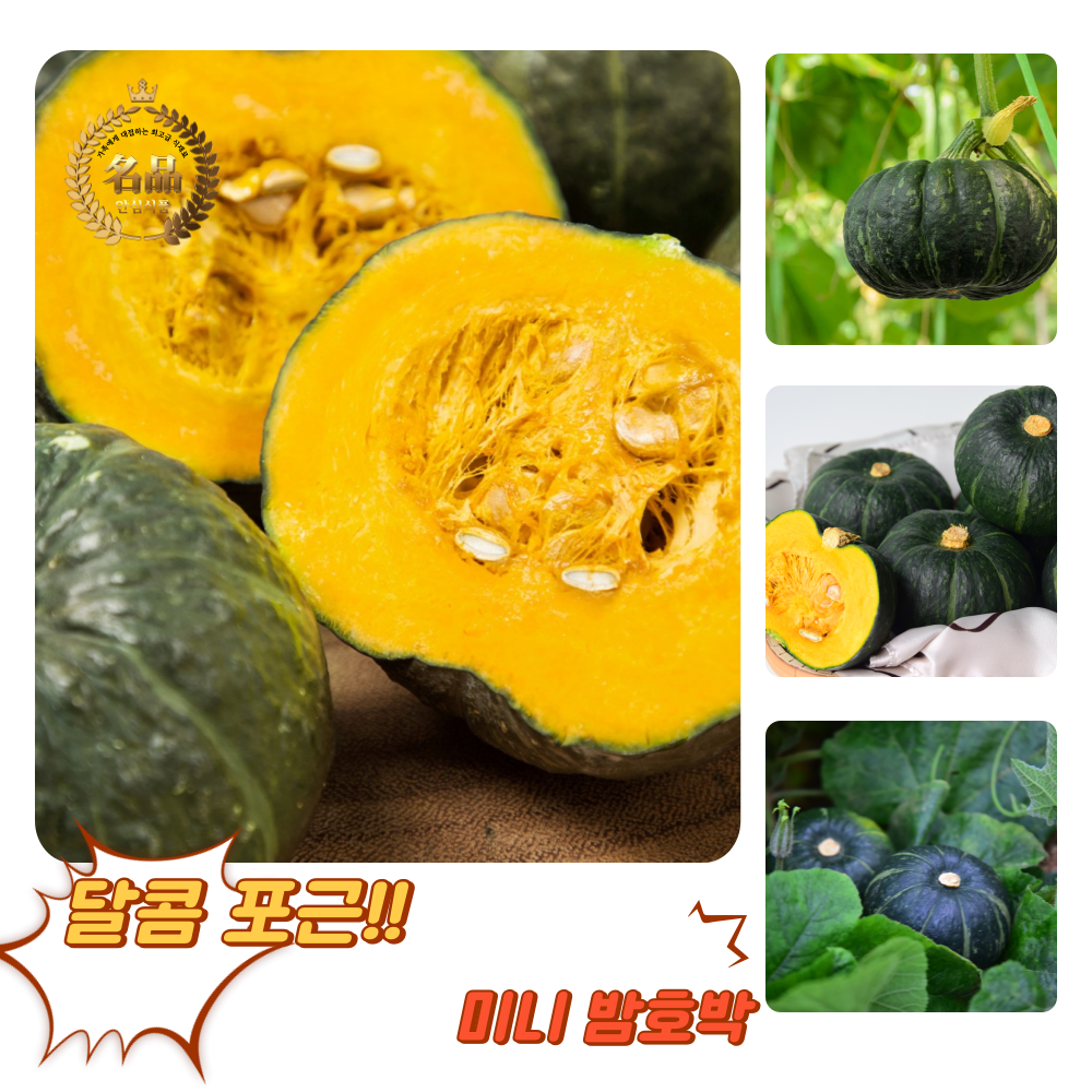 [굿피플] 미니밤호박 호박 밤호박 보우짱 미니보우짱 17,060원