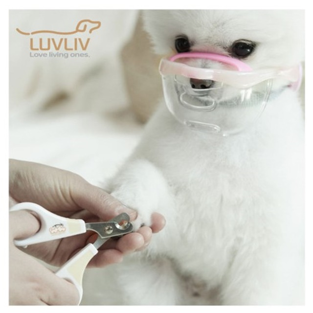 컴포트 강아지투명입마개 애플 M 26,250원