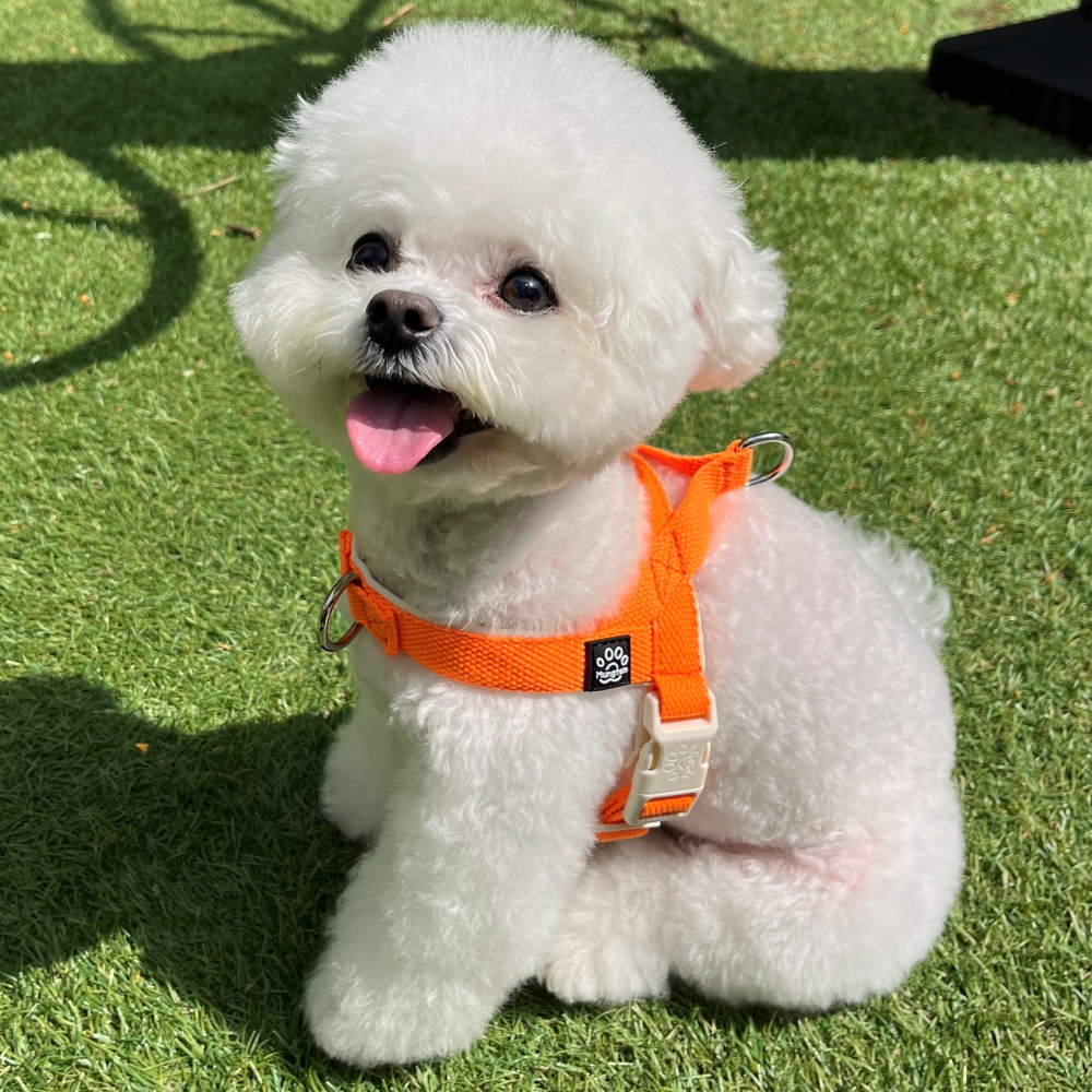 멍템 강아지 앞섬방지 팔레트 하네스, 네온 오렌지, 1개 18,900원