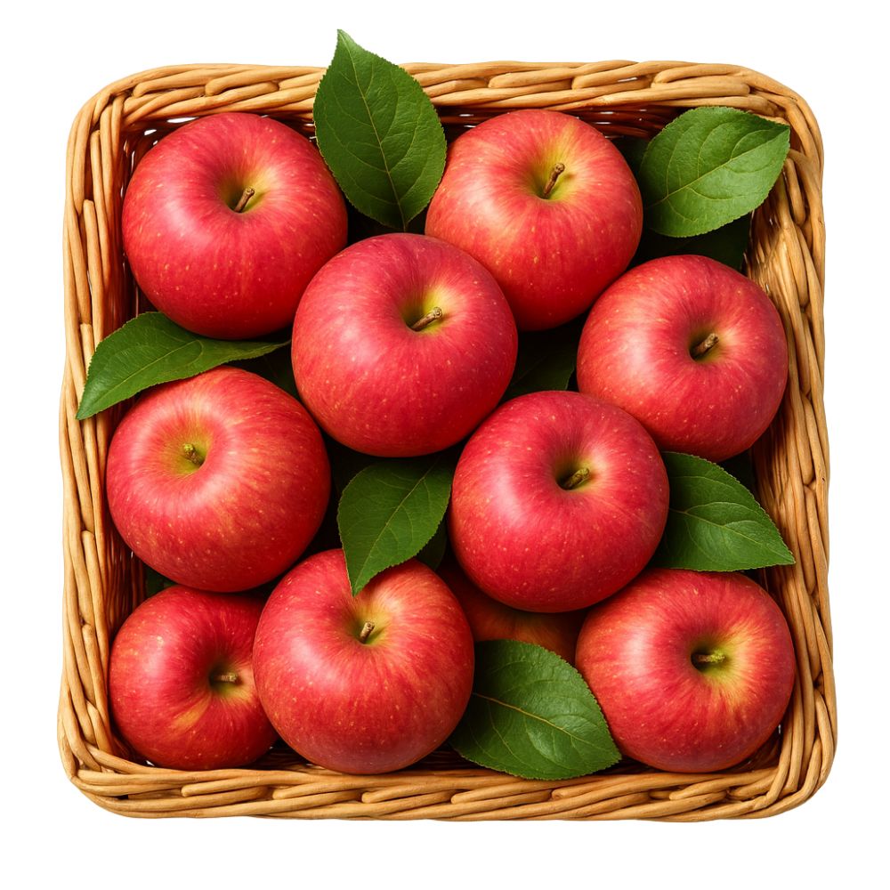 [재구매율1위] 고당도 경북 부사 사과 선별 특품 디아머스 29,800원