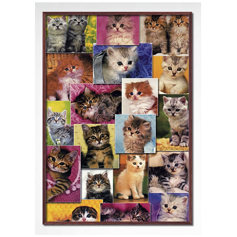 1000피스 직소퍼즐 귀여운 아기 고양이들 (액자선택) PL1255, 1개, 퍼즐+알루미늄월넛 직소퍼즐액자포함, 1000피스 52,000원
