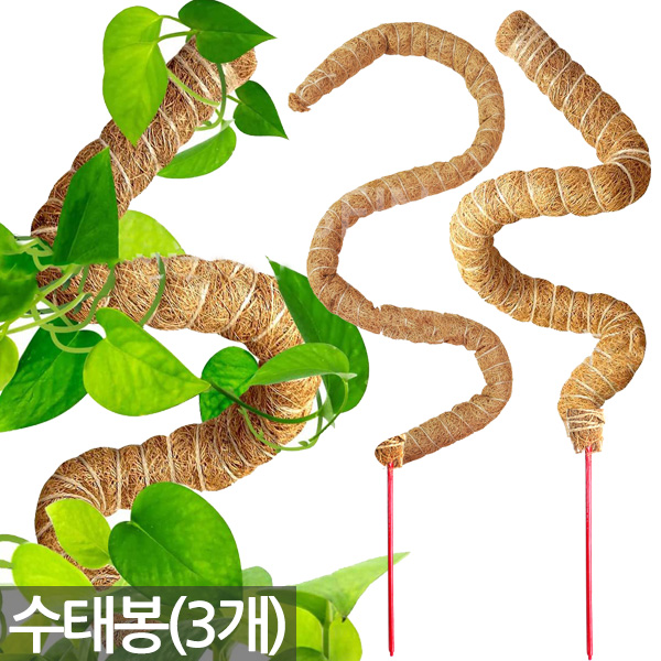 세인화분 구부러지는 코코넛 수태봉 3P - 코코봉 몬스테라 원하는 모양으로 넝쿨 식물 지지대 지주대 심지 덩쿨 화분갈이 분갈이 플랜테리어 13,350원
