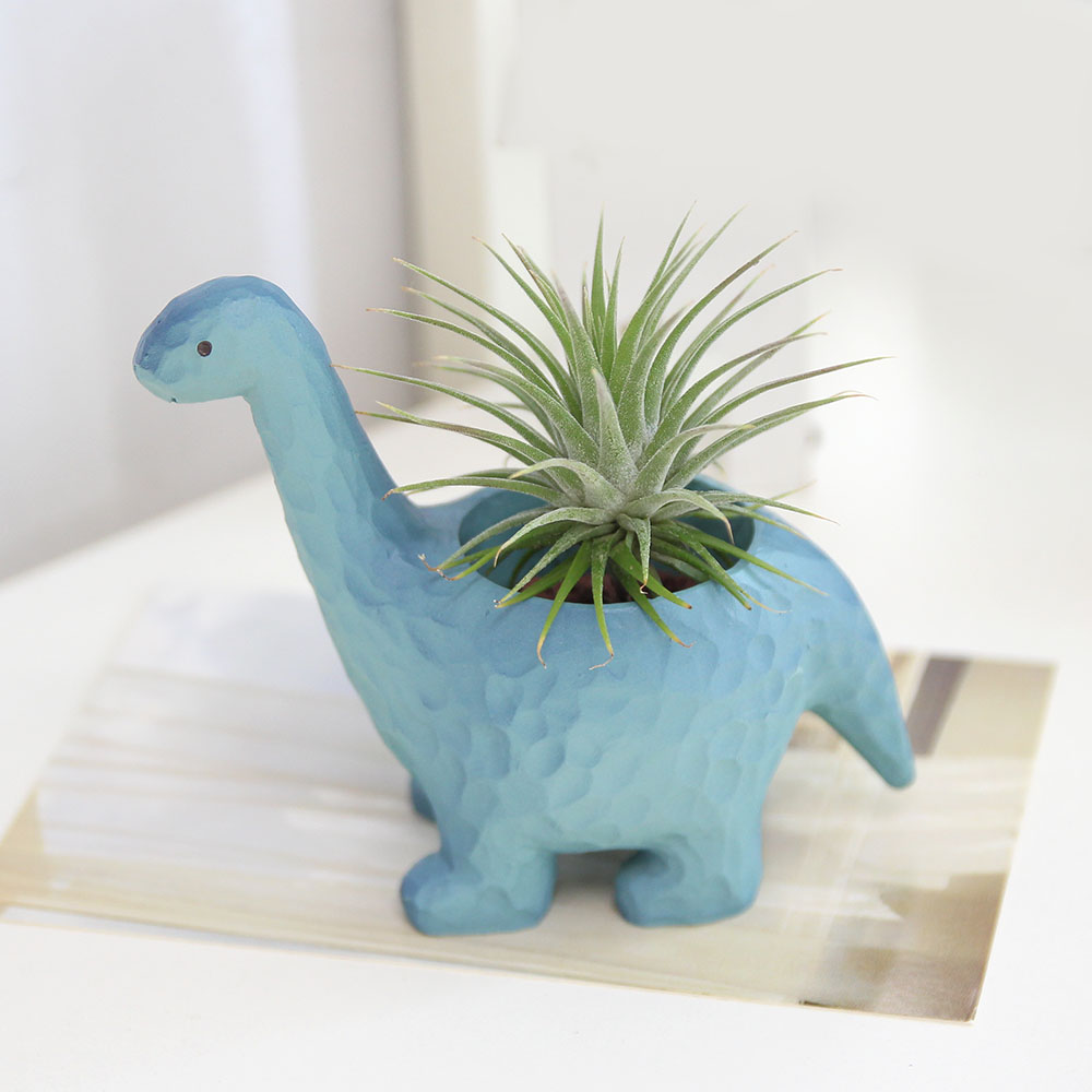 키우기쉬운 아프리카 식물 이오난사 희귀 반려 식물 공룡, 동물 화분, 1개, 브라키오사우르스 19,800원