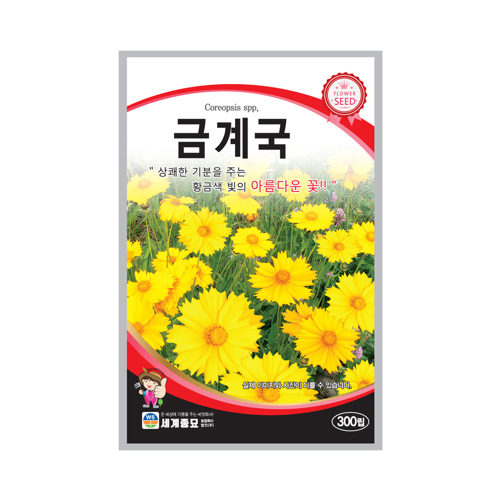 모칸도 금계국 씨앗 300립 세계종묘 꽃씨 꽃씨앗 3,490원