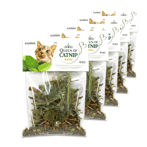 카르마 종합캣닢 10,100원