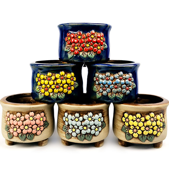 무배 행복한꽃그릇 또또1번 6종세트 소형 다육이화분 분갈이흙, 지정컬러, 6개 26,400원