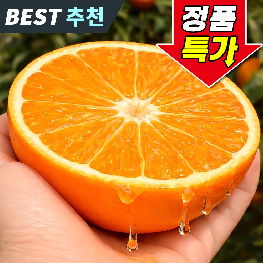 꿀팜즈 명품꿀맛 초고당도 제주 천혜향 14,900원