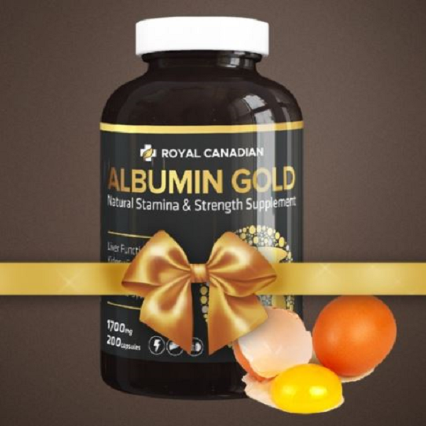 RC 캐나다산 알부민골드 1700mg, 1개, 1.7L 270,000원