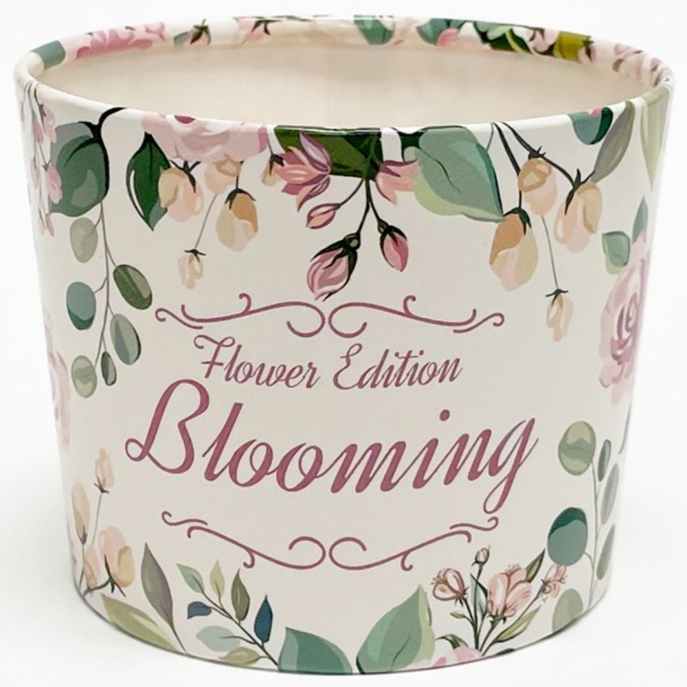 블루밍 10/13온스 에어홀더 200개 12,900원