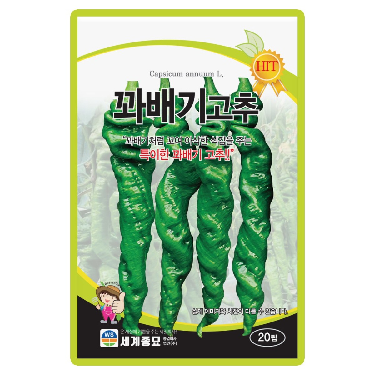 산들마켓 꽈배기고추 씨앗 20립 TSWV 역병에 저항성이 있고 꽈배기 처럼 꼬인 중조생 매운맛 고추씨 종자 30,000원