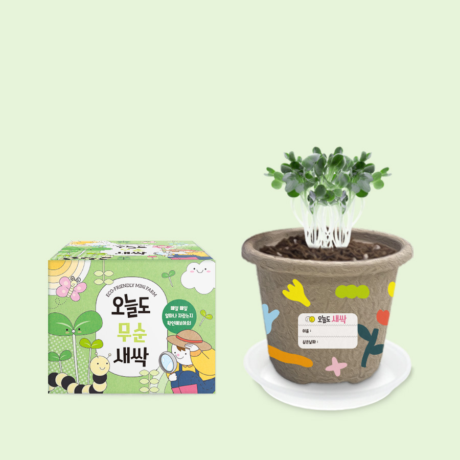오늘도새싹 식물키우기 무순 미니화분, 48개 120,000원