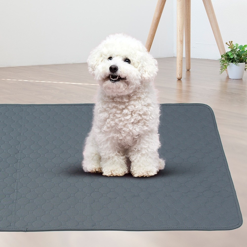 로랑마켓 빨아쓰는 배변패드 150x90cm 그레이 에코 논슬립 재사용 39,700원