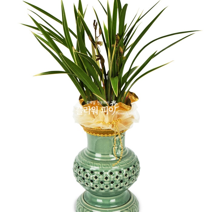 플라워피아 서양란 동양란 축하화분배달 개업 승진 취임 고급선물, 1개, 6.황금채홍 94,780원