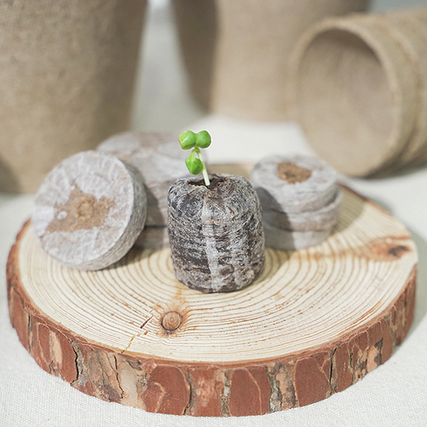 갑조네 지피펠렛 33mm 11,500원