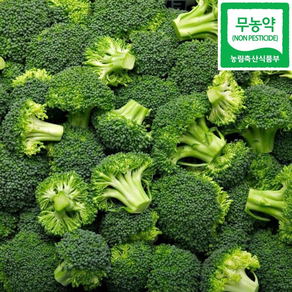 무농약 브로콜리 국내산 친환경 슈퍼푸드 저속노화, 1박스, 1kg 14,900원