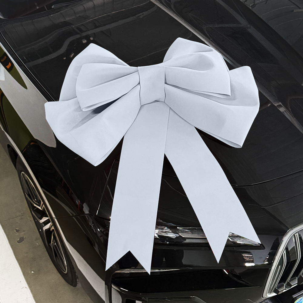 레인윙스 초대형 대왕리본 100cm, 1개, 화이트 9,900원