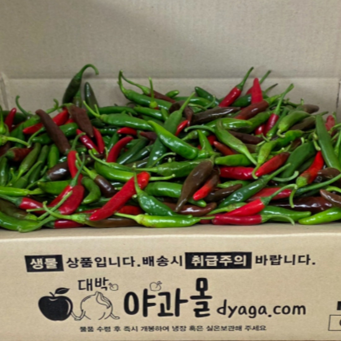 국내산 반홍 청양고추 1kg 야과몰 | 신선한 매운 고추 도매시장 경매 직송, 1kg, 1박스 12,900원