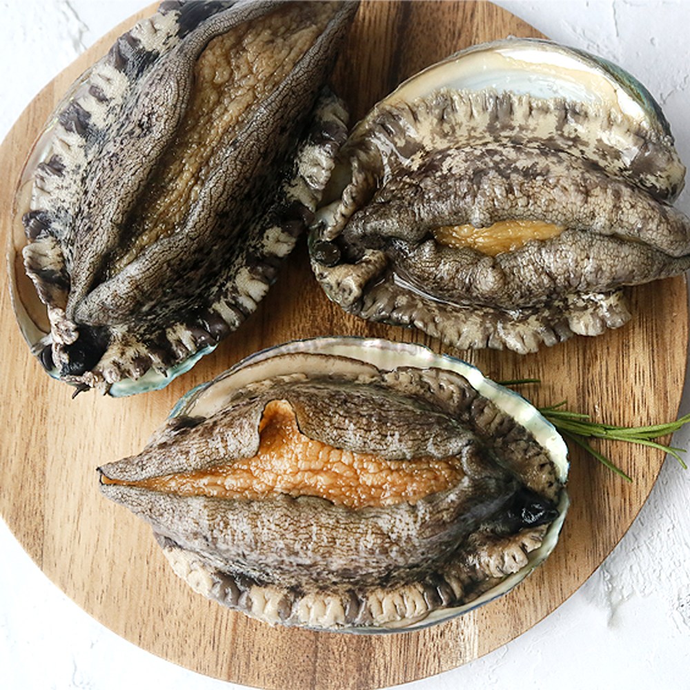 [바다마을] 완도활전복 대왕특대 5-6미 1kg 27,900원