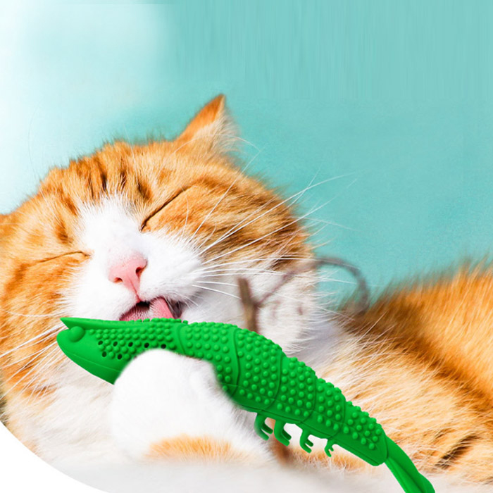 딩동펫 강아지 고양이 셀프 새우칫솔 + 캣닢 2p + 방울 세트 7,500원